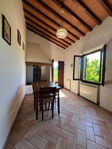 Foto Appartamento in Affitto, 3 Locali, 2 Camere, 60 mq (CERTALDO FIA