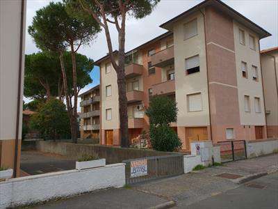 Foto Appartamento in Affitto, 3 Locali, 60 mq (Rosignano Marittimo)