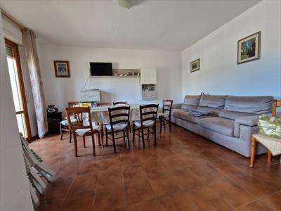 Foto Appartamento in Affitto, 3 Locali, 80 mq (Rosignano Marittimo)