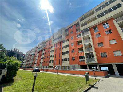 Foto Appartamento in Affitto, 3 Locali, 96 mq (Milano)