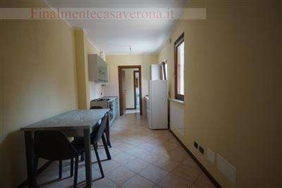 Foto Appartamento in Affitto