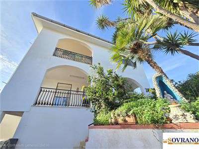 Foto Appartamento in Affitto