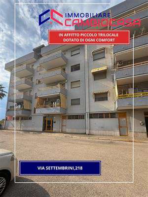 Foto Appartamento in Affitto