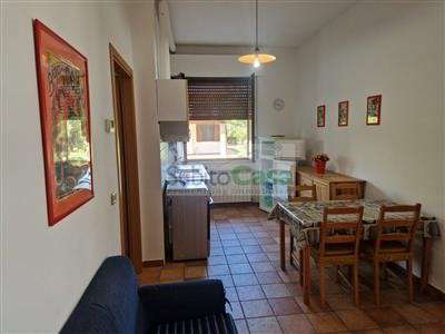 Foto Appartamento in Affitto a 430€