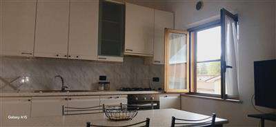 Foto Appartamento in Affitto a 470