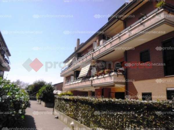 Foto Appartamento in affitto a Albano Laziale