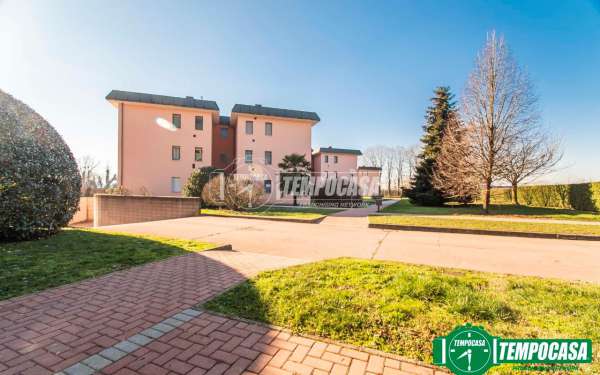 Foto Appartamento in affitto a Arese