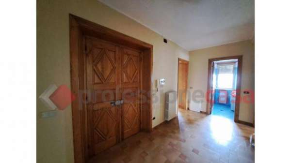 Foto Appartamento in affitto a Arpino - 5 locali 150mq