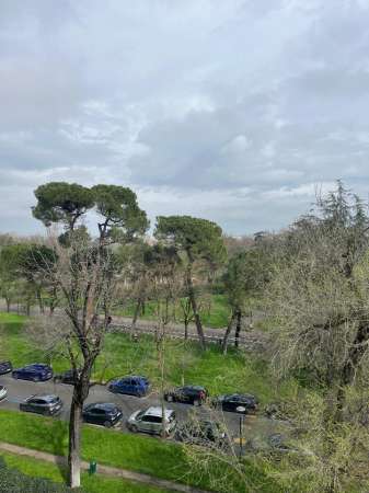 Foto Appartamento in affitto a Bologna