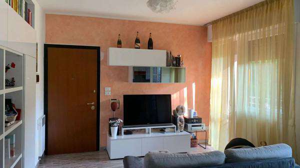 Foto Appartamento in affitto a Bologna