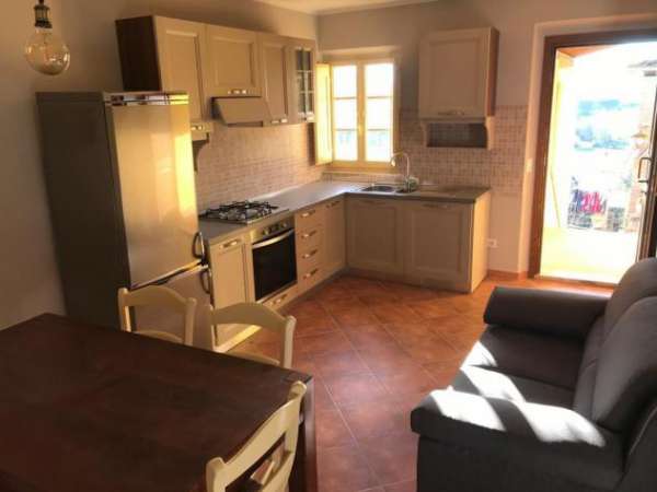 Foto Appartamento in affitto a Borghigiana - San Miniato 50 mq  Rif: 1334262