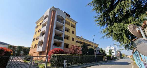 Foto Appartamento in affitto a Brugherio