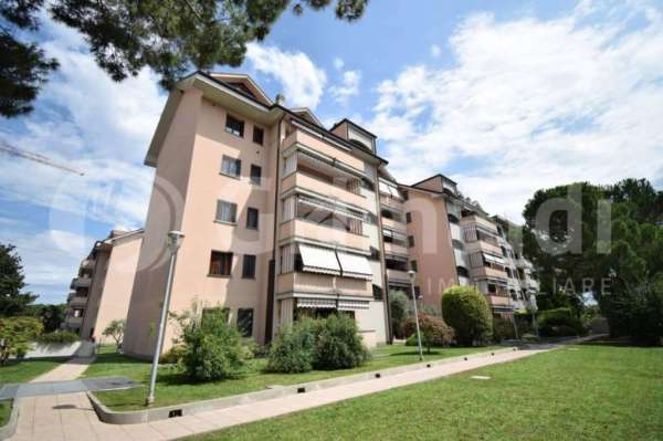 Foto Appartamento in affitto a Brugherio