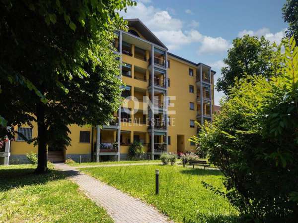 Foto Appartamento in affitto a Brugherio