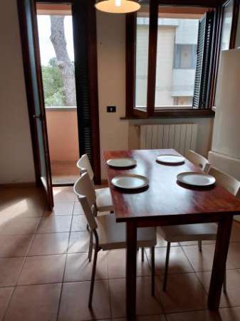 Foto Appartamento in affitto a Caletta - Rosignano Marittimo 50 mq  Rif: 1246081