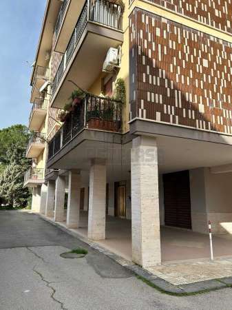 Foto Appartamento in Affitto a Caltanissetta via Leonida Bissolati