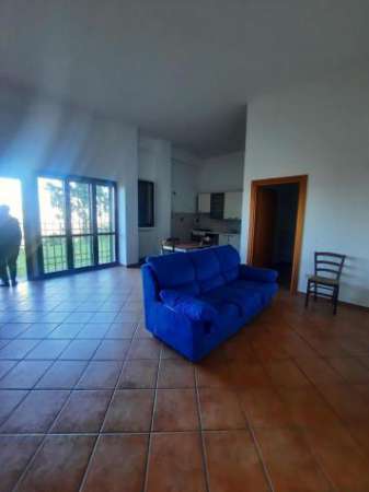 Foto Appartamento in affitto a Carmignano 75 mq  Rif: 1294138