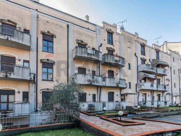 Foto Appartamento in affitto a Castellanza