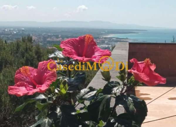 Foto Appartamento in affitto a Castiglioncello - Rosignano Marittimo 70 mq  Rif: 1339490