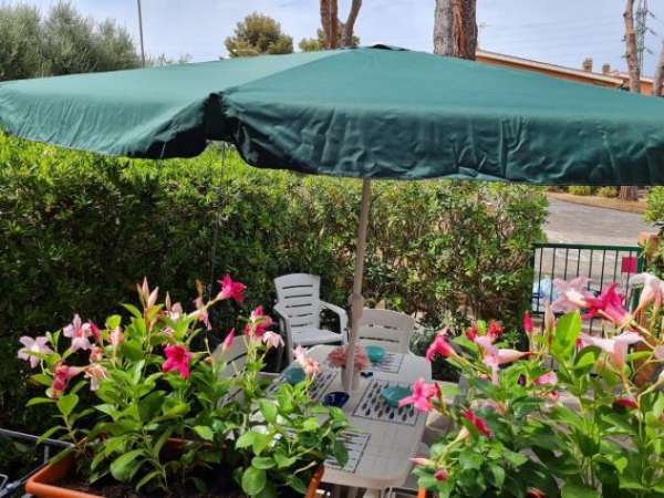 Foto Appartamento in affitto a Cavo - Rio 30 mq  Rif: 1131797