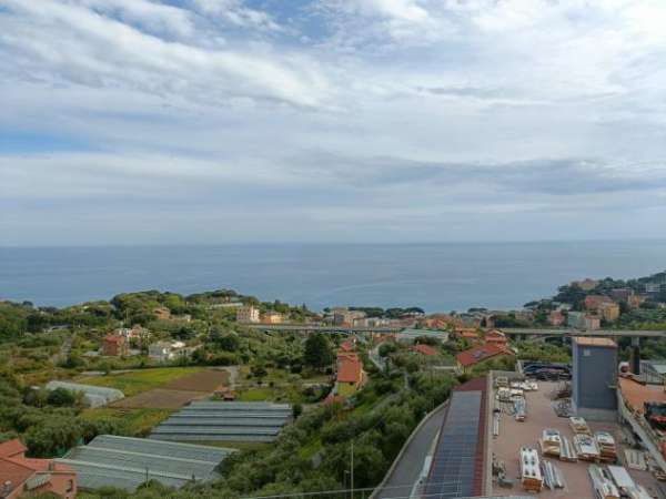 Foto Appartamento in affitto a Celle Ligure
