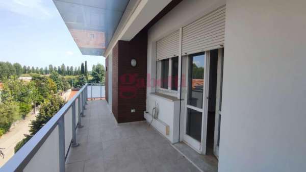 Foto Appartamento in affitto a Cento