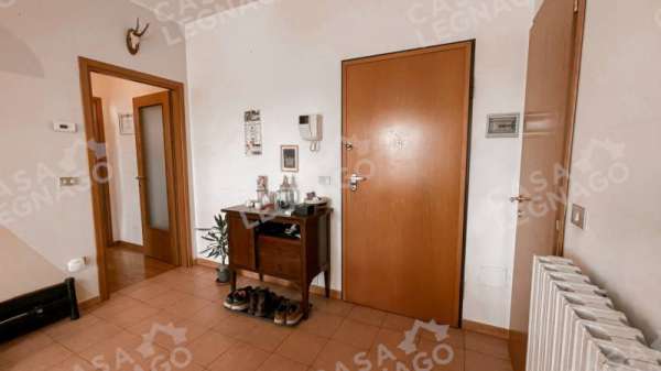 Foto Appartamento in Affitto a Cerea Cerea