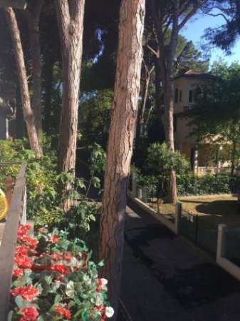 Foto Appartamento in affitto a Cervia - 5 locali 70mq