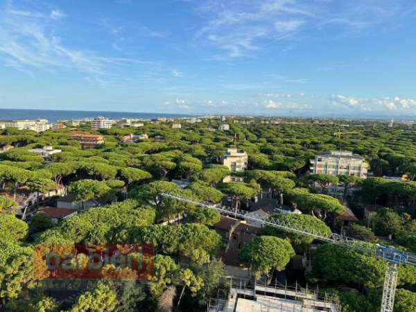 Foto Appartamento in affitto a Cervia, Milano Marittima