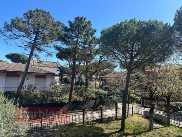 Foto Appartamento in affitto a Cervia