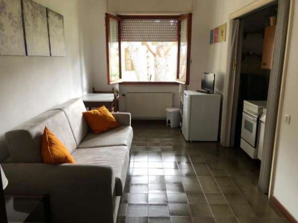 Foto Appartamento in affitto a Cinquale - Montignoso 30 mq  Rif: 902376