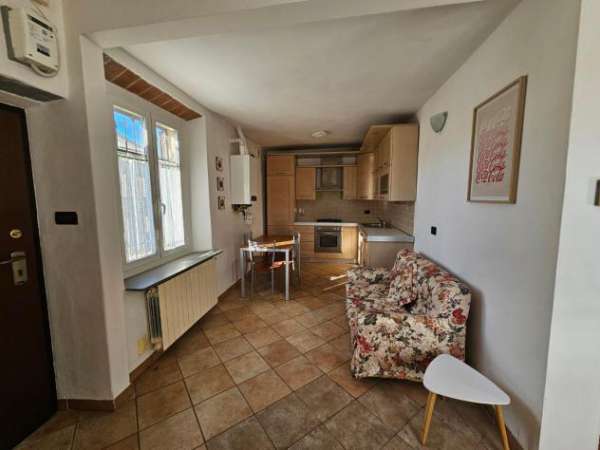 Foto Appartamento in affitto a Collesalvetti 50 mq  Rif: 264953