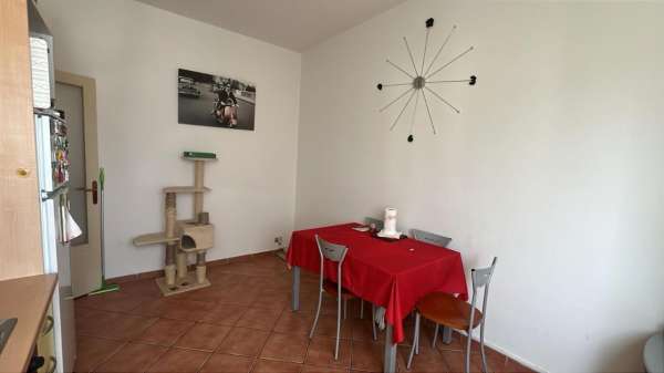 Foto Appartamento in affitto a Cortemaggiore