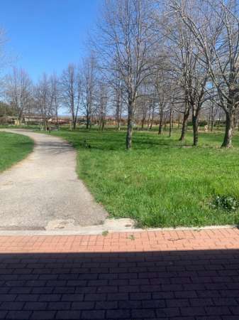 Foto Appartamento in affitto a Cuneo