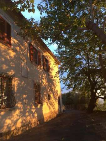 Foto Appartamento in affitto a Fiesole