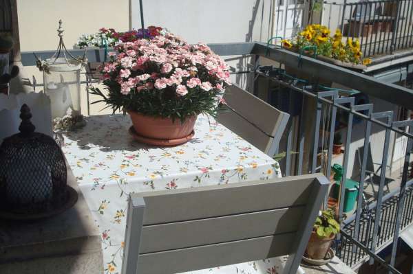 Foto Appartamento in affitto a Firenze