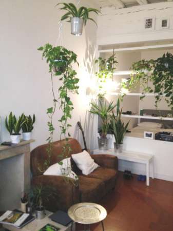 Foto Appartamento in affitto a Firenze
