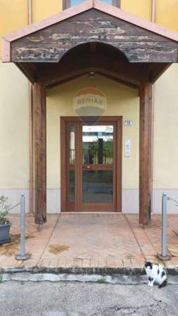 Foto Appartamento in affitto a Frosinone