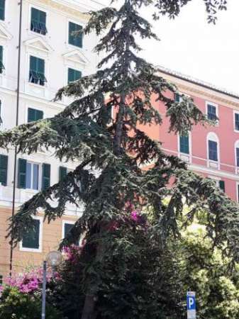 Foto Appartamento in affitto a Genova