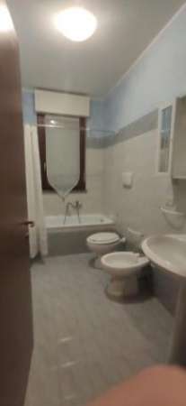 Foto Appartamento in affitto a Grosseto 50 mq  Rif: 1353620