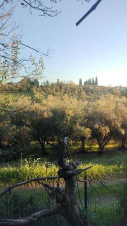 Foto Appartamento in affitto a Lastra A Signa