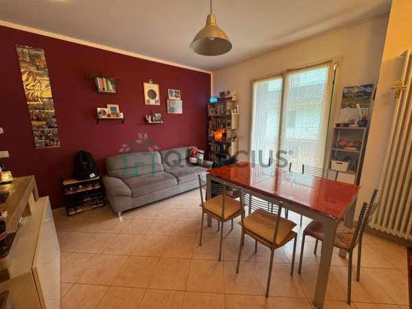 Foto Appartamento in affitto a Lavagno