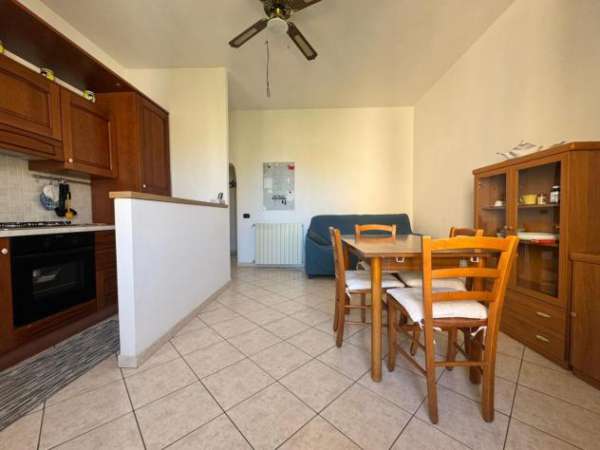 Foto Appartamento in affitto a Livorno 47 mq  Rif: 1337087