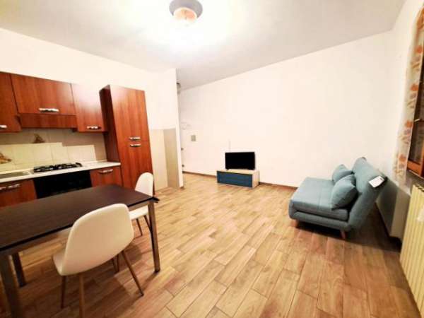 Foto Appartamento in affitto a Marina di Carrara - Carrara 49 mq  Rif: 1296933