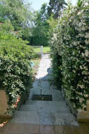 Foto Appartamento in affitto a Marina di Carrara - Carrara 75 mq  Rif: 1141249