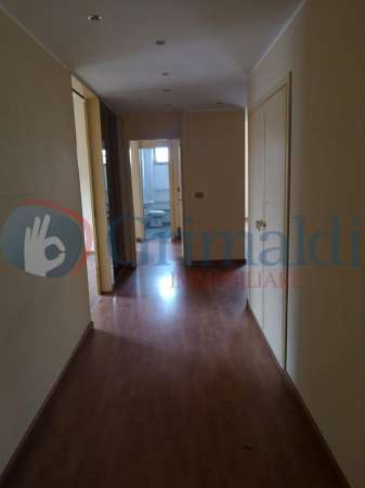 Foto Appartamento in affitto a Milano