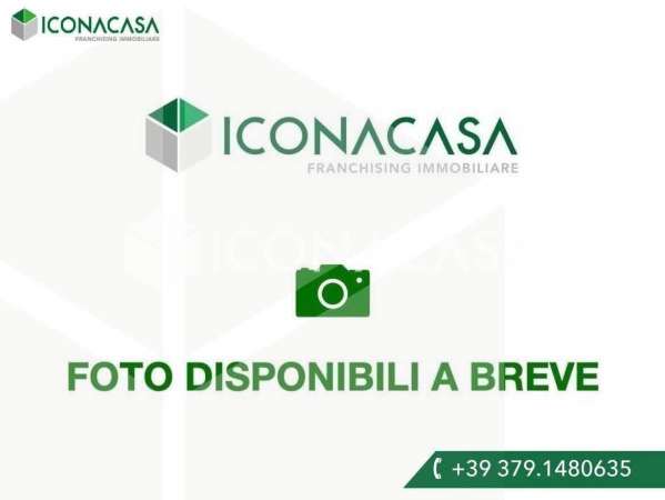 Foto Appartamento in affitto a Milano