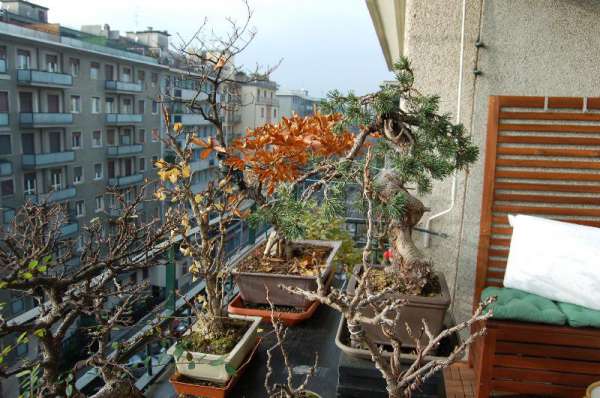Foto Appartamento in Affitto a Milano Via Marcantonio Colonna 10