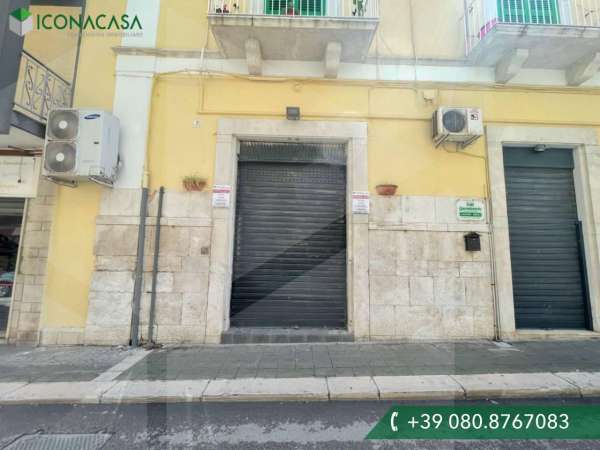 Foto Appartamento in affitto a Molfetta