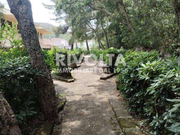 Foto Appartamento in affitto a Monte Argentario